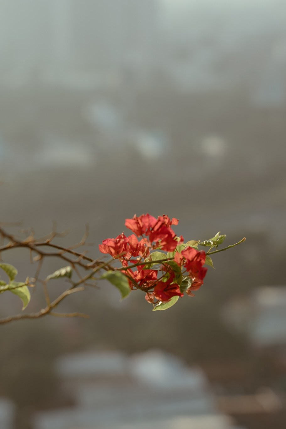 HUYNH & NHI. WEDDING PHOTOGRAPHER IN VIETNAM