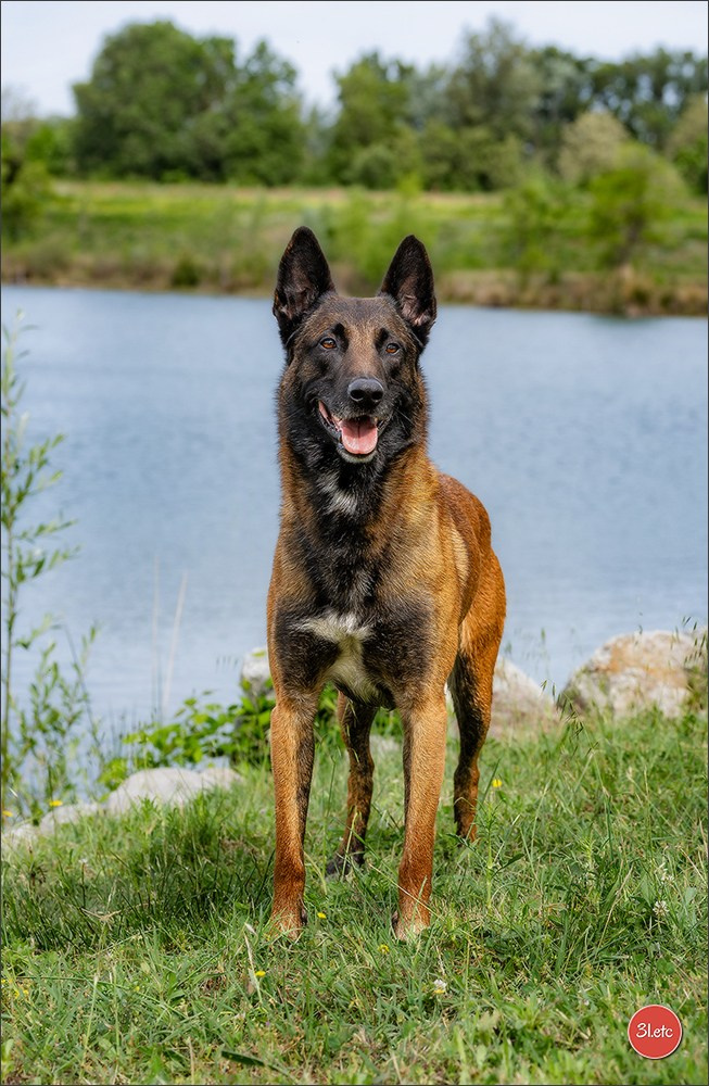 Expo canine 🇫🇷 Valence 02-03/05/2026