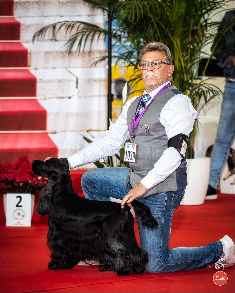 Photographie animalière. Photographe à Strasbourg | Portraits, Studio, Enfants, Événements