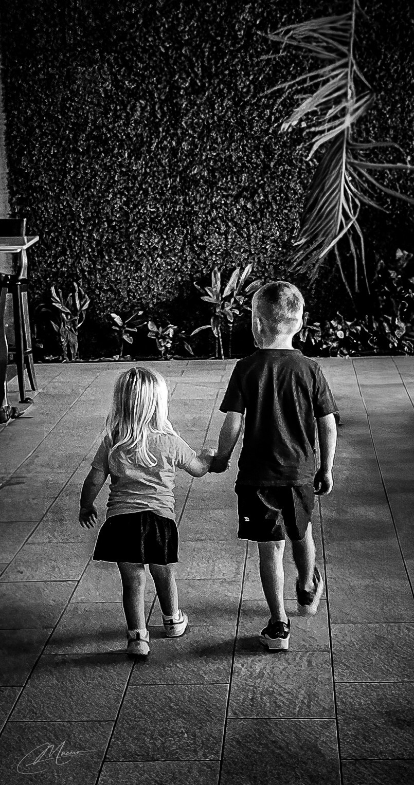 Black and White. Out and About 239