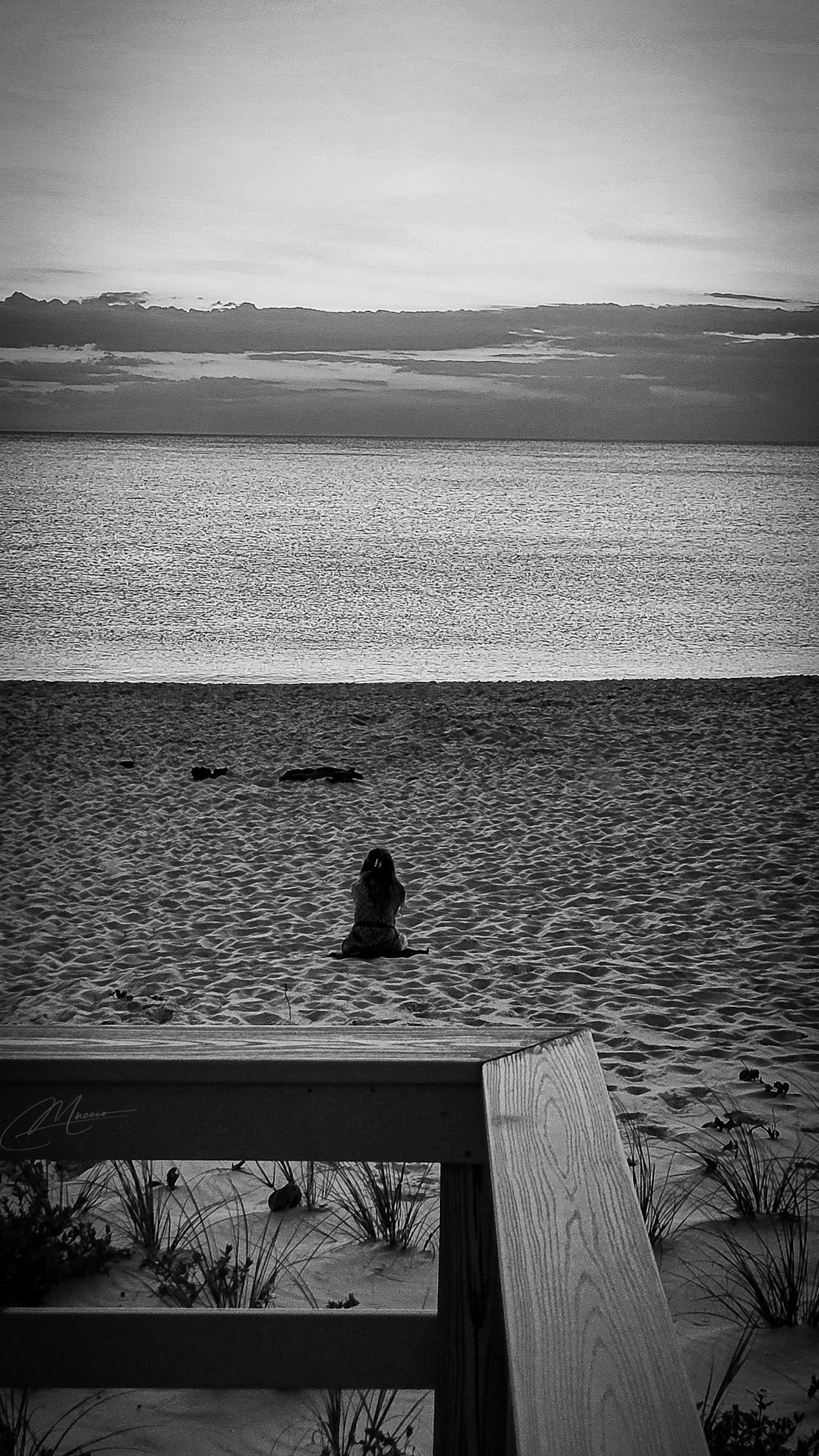 Black and White. Out and About 239