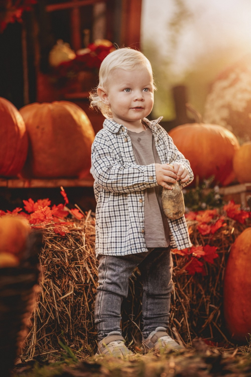 JESENJE FOTOGRAFISANJE. Fotografi iz Backog Petrovca David i Andrea Stojanovic