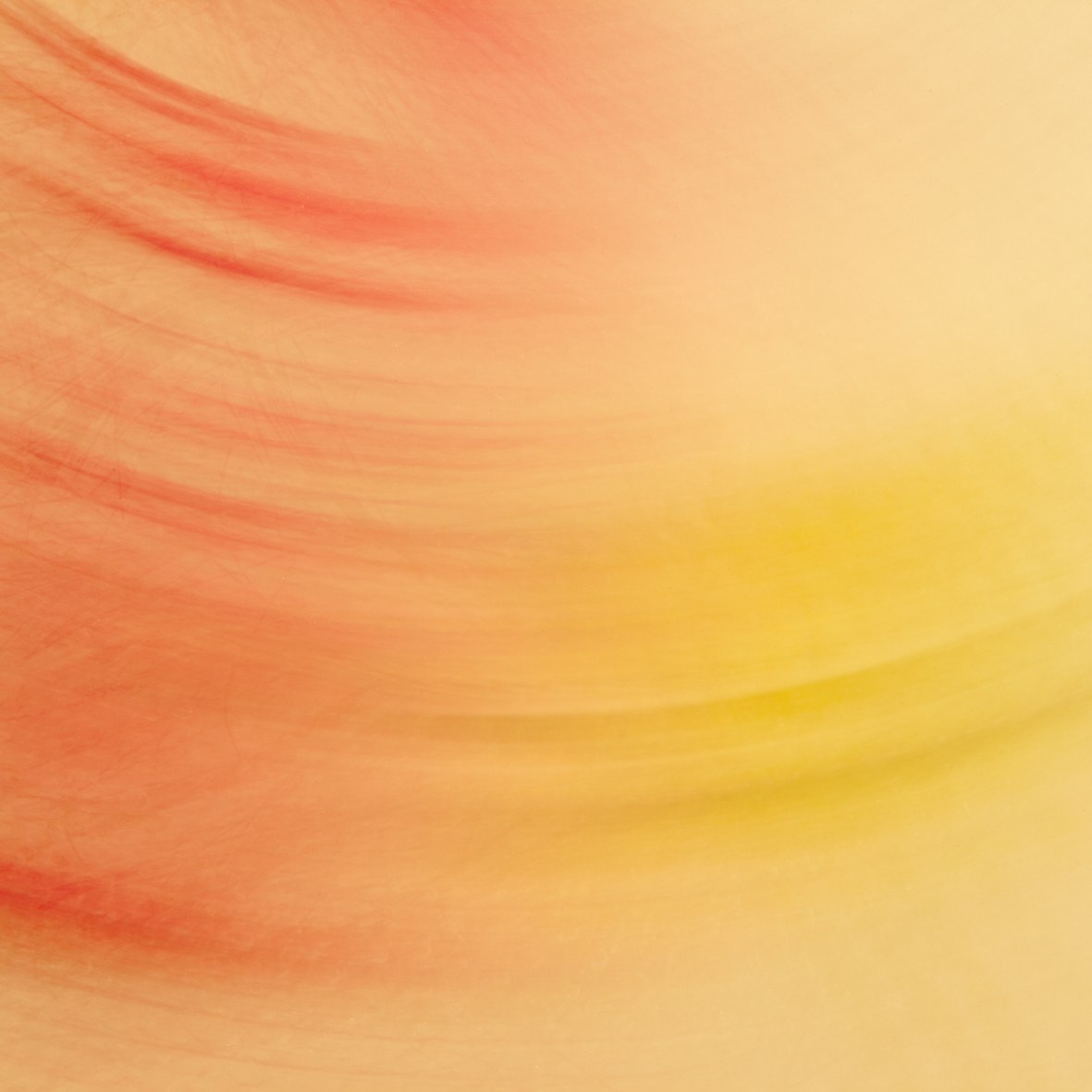 ALL RIGHTS RESERVED All images can be printed in 100 x 100 cm and 100 x 150 cm formats on the best fine art media. Other formats are available upon request. For further information, please contact the links on the main page of the site.
