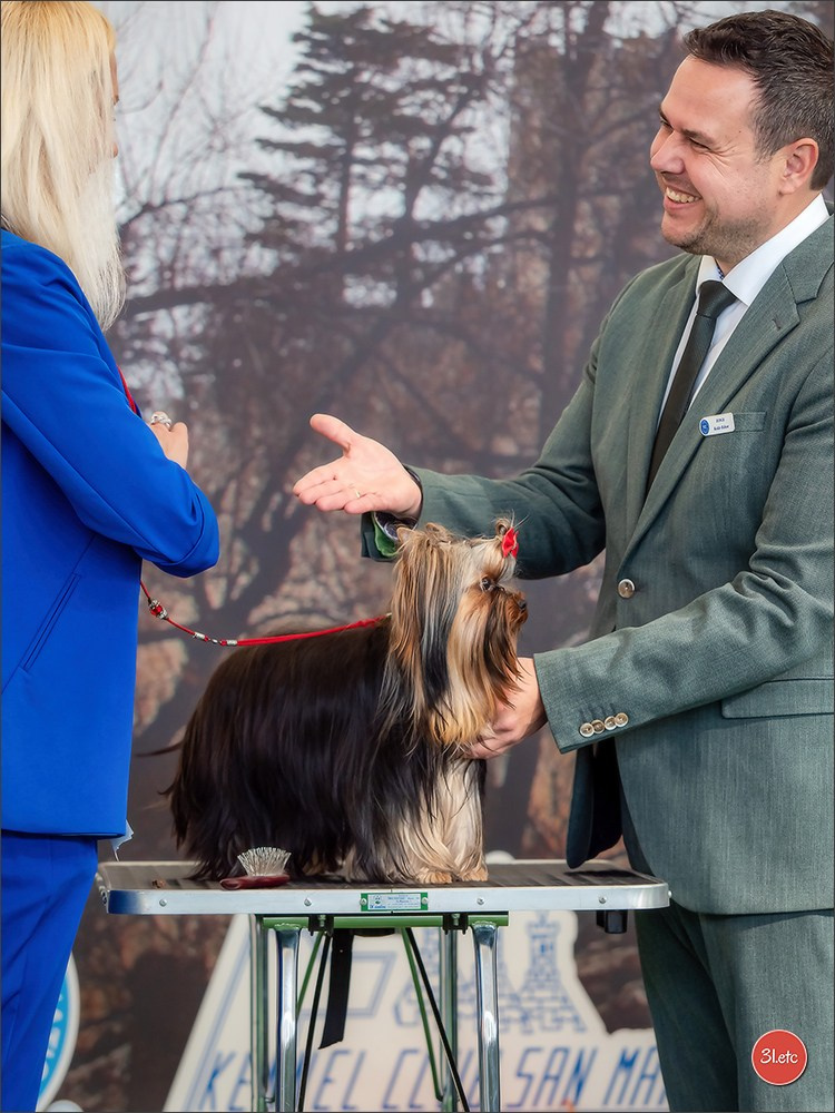 Dog Show  🇮🇹  San Marino. Photographe à Strasbourg | Portraits, Studio, Enfants, Événements