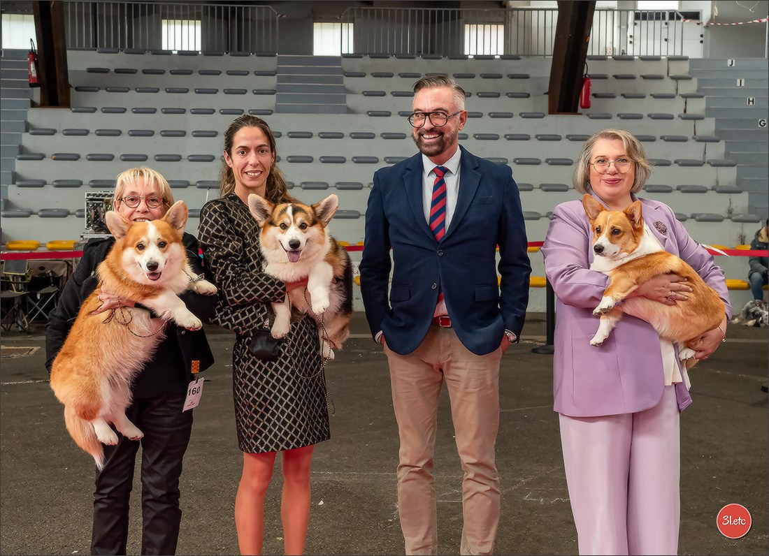 Expo canine 🇫🇷 Poitiers 18-19/10/2025. Photographe à Strasbourg | Portraits, Studio, Enfants, Événements