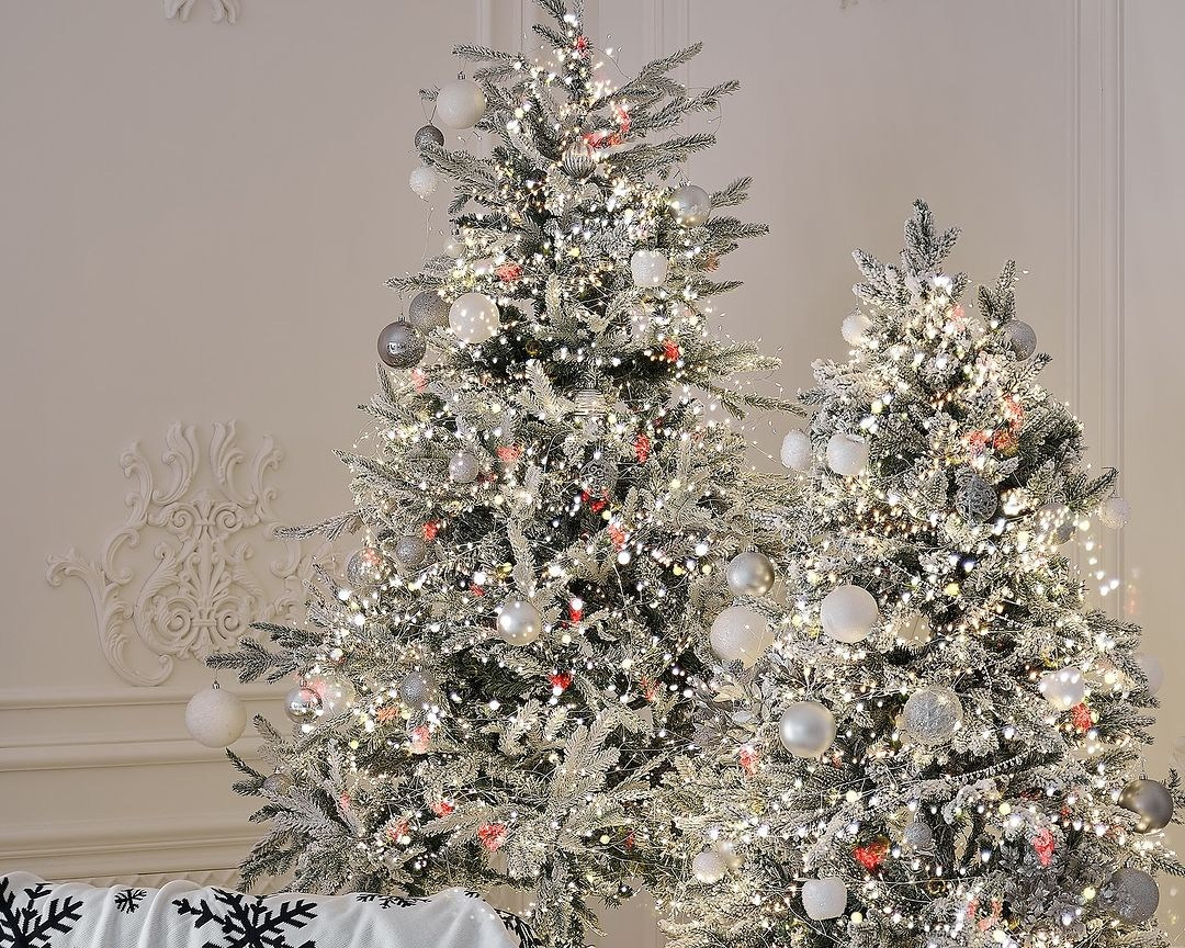 Новогодние съемки. Женский и семейный фотограф в Ташкенте