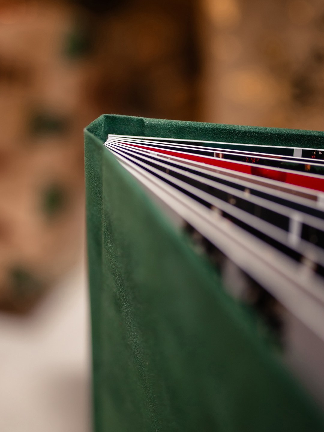 Them Artsy Studios — Ședințe Foto de Crăciun by Fulop Robert & Oana Petrea