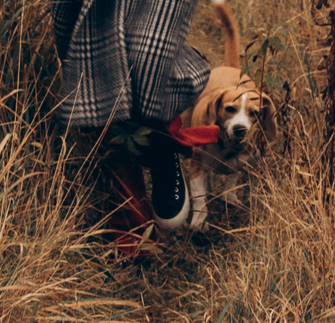 DIANA&DORIS. Family photographer in Stockholm Oksana Matviyiv