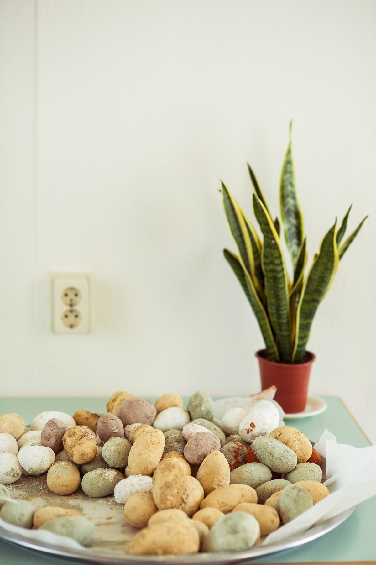 Symposium Surrounding Education Masha ru and Taak.me. Portrait Photographer in Brussels & Amsterdam — Victoria Ushkanova