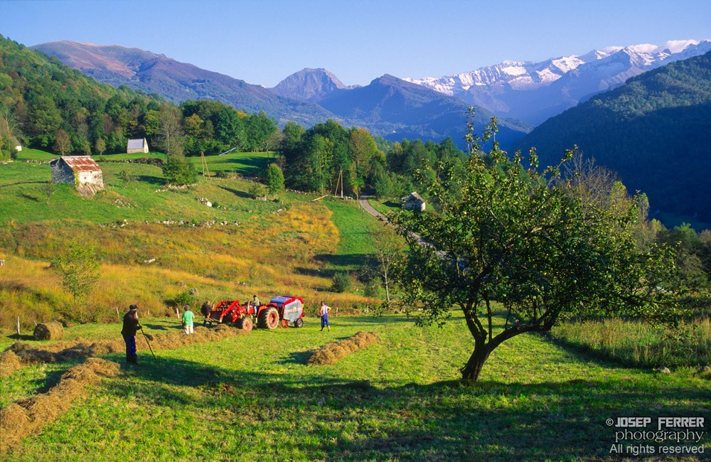 Farmers, Ariege, Pyrenees