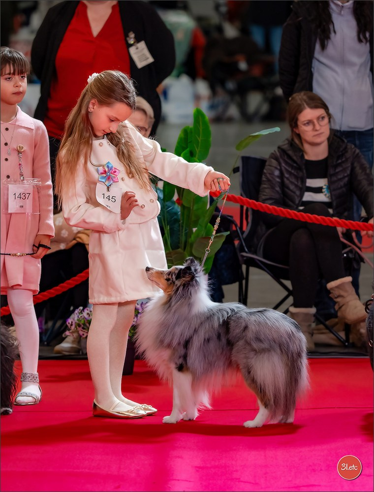 PDS  🇫🇷  Paris Dog Show  🇫🇷  Expo canine  10-11/01/2026. Photographe à Strasbourg | Portraits, Studio, Enfants, Événements