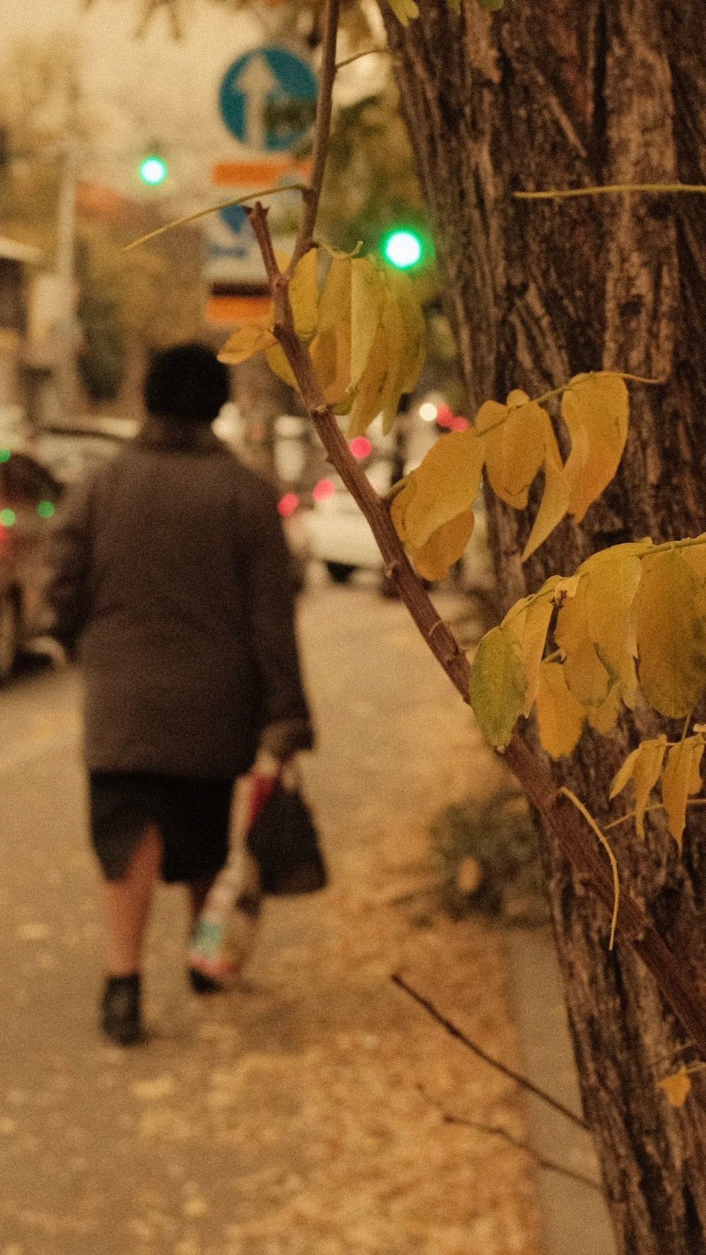 OLD & WARM. @Gio.Fujifilm official Fujifilm Ambassador & X-Photographer in Georgia