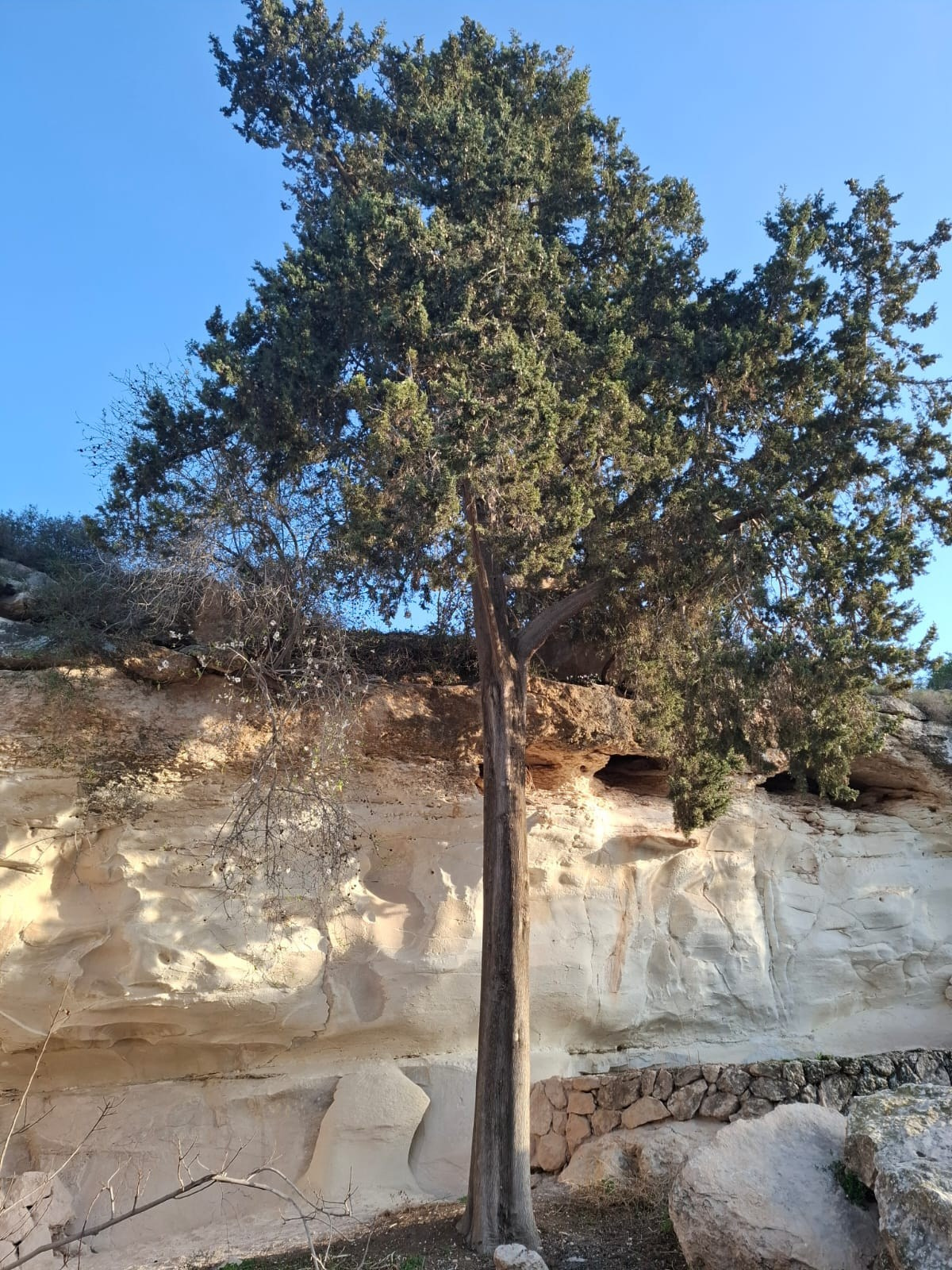 Женский поход с детьми — Клуб «Нортман» | реконструкция. КРиС «Нортман»