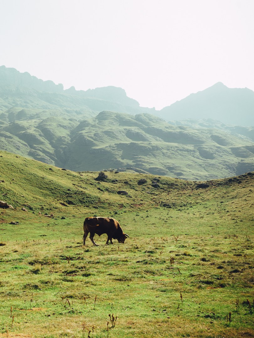 Galeria. Creador de contenido visual en Barcelona | Dima Kit