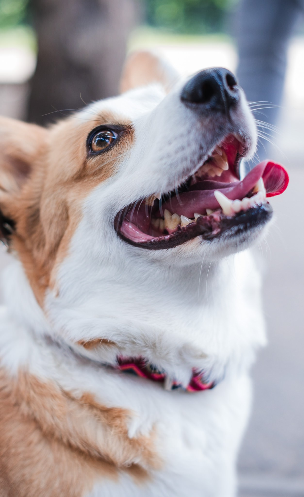 Ropa deportiva. Wedding and family photographer in Mexico City