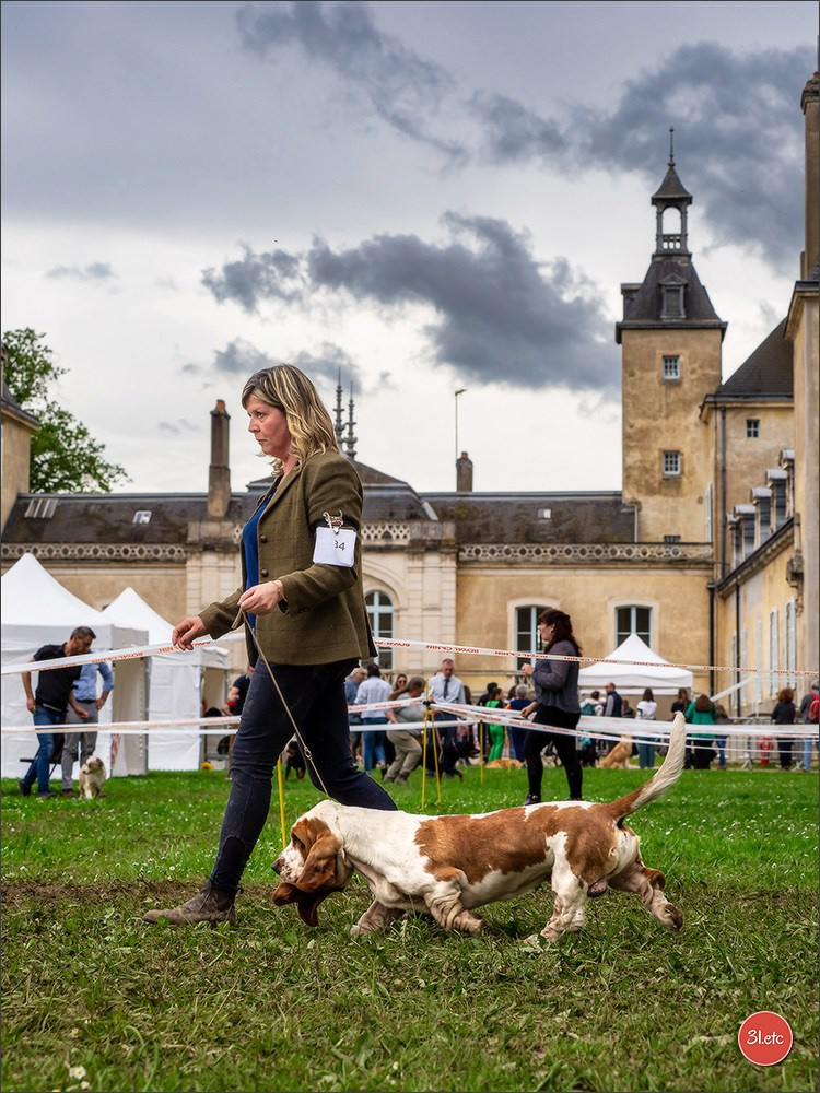 Photographie animalière. Photographe à Strasbourg | Portraits, Studio, Enfants, Événements