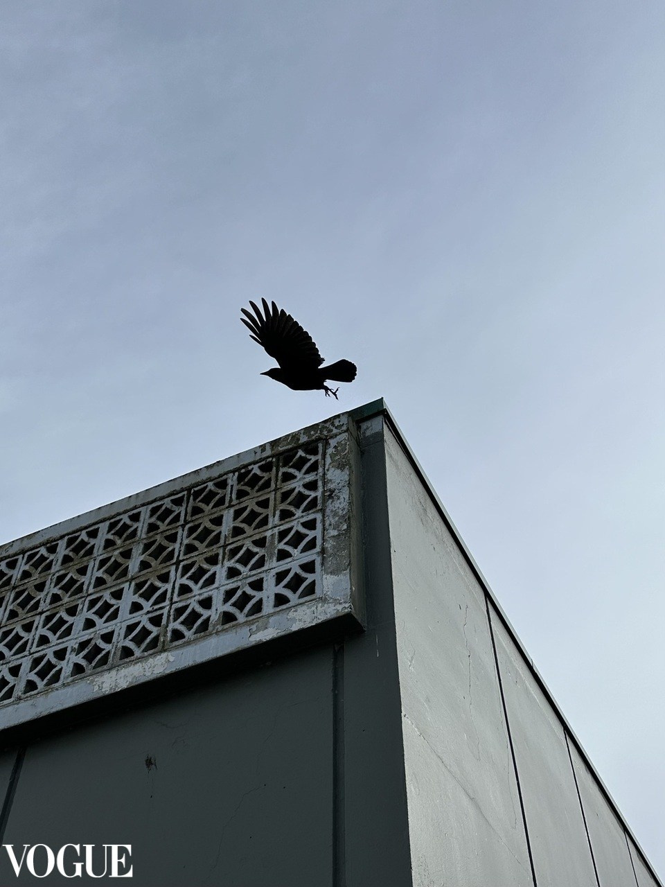 AWARDS. Yana Bobrova | Artistic Photography