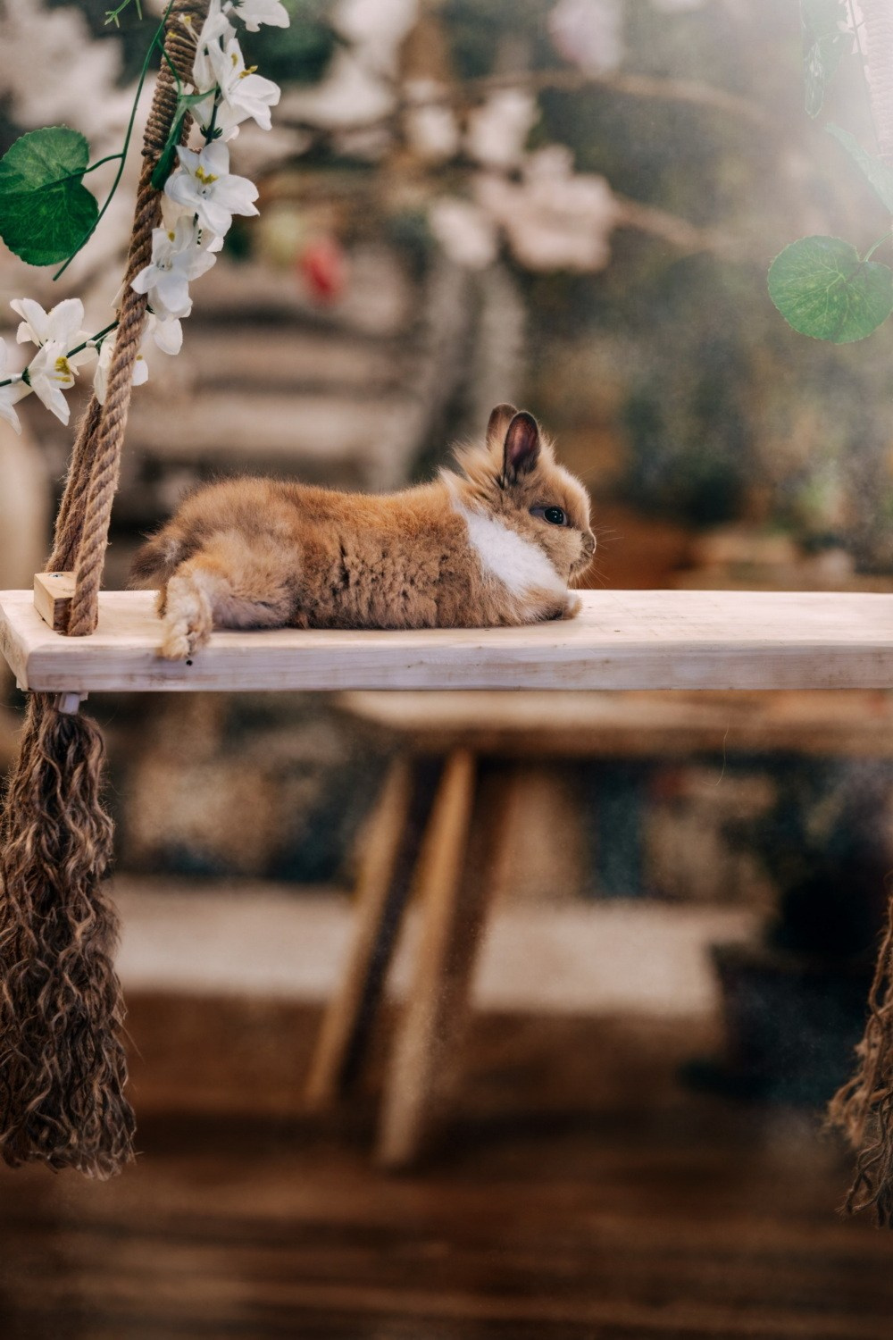 USKRŠNJE FOTOGRAFISANJE. Fotografi iz Backog Petrovca David i Andrea Stojanovic