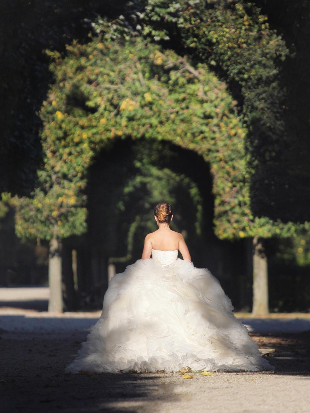 Viena. Luxury wedding, portrait, family photographer over Europe