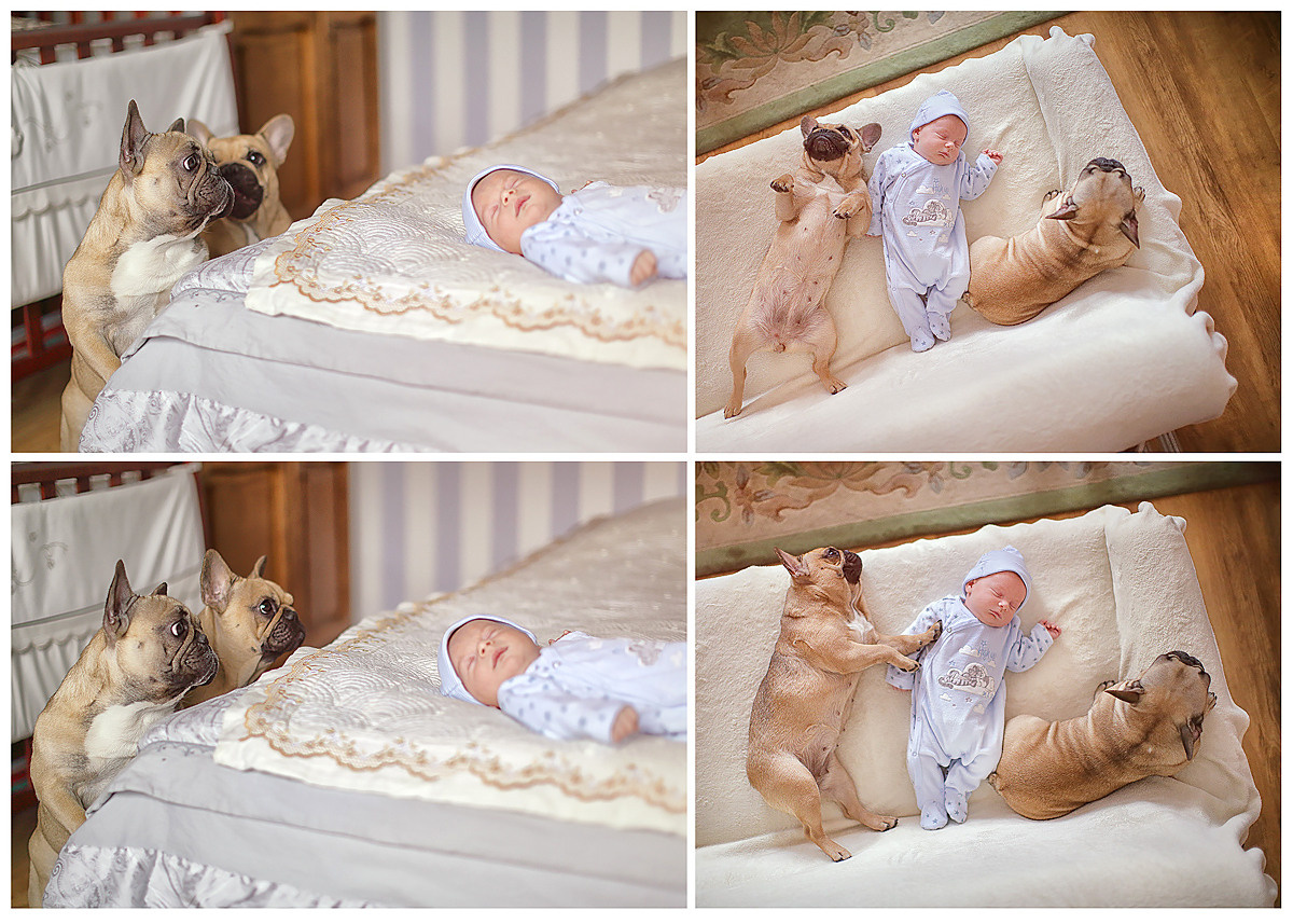 Kids. Luxury wedding, portrait, family photographer over Europe