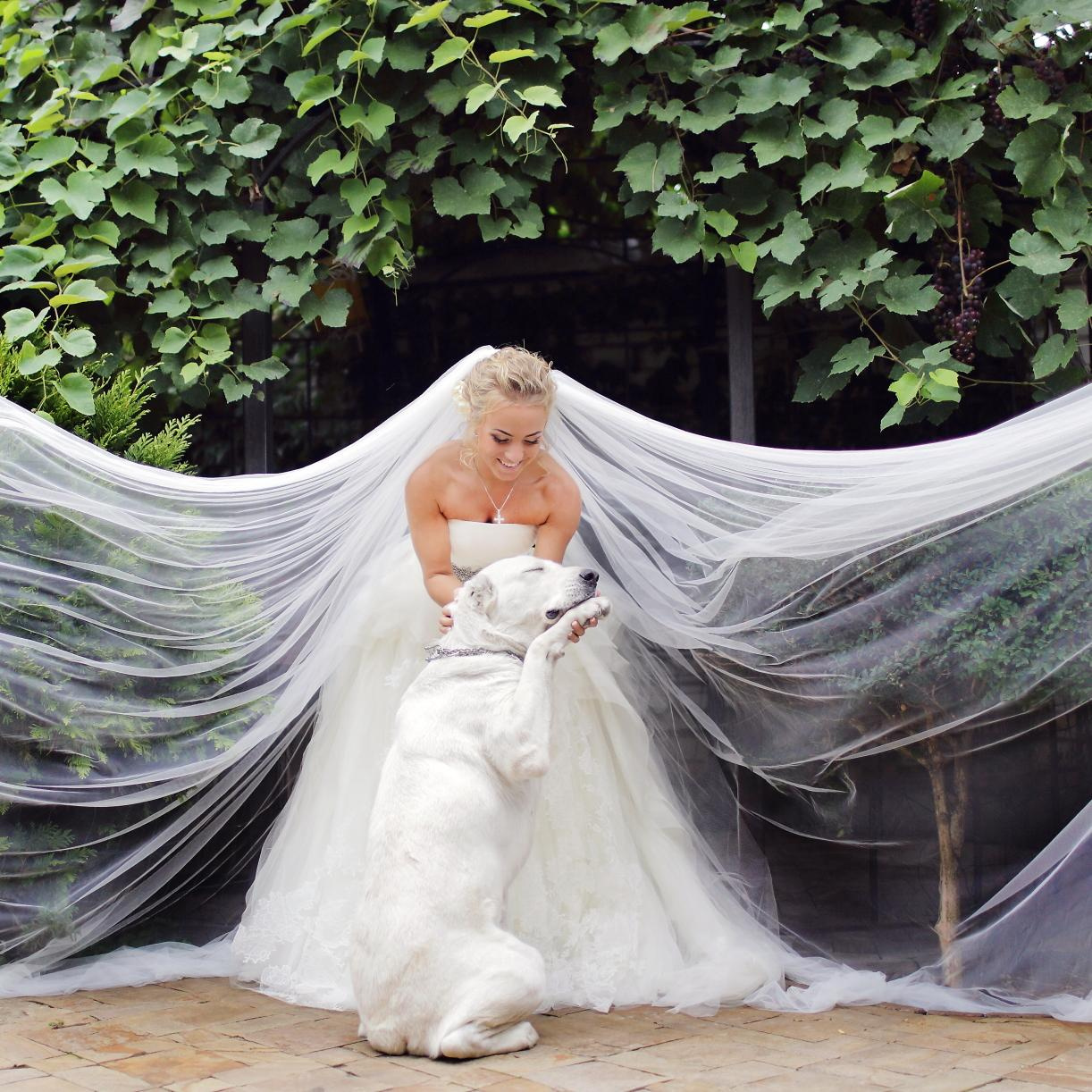 Ukraina. Fotógrafo de bodas. Fotografía de retrato. Fotógrafo Alicante, Madrid