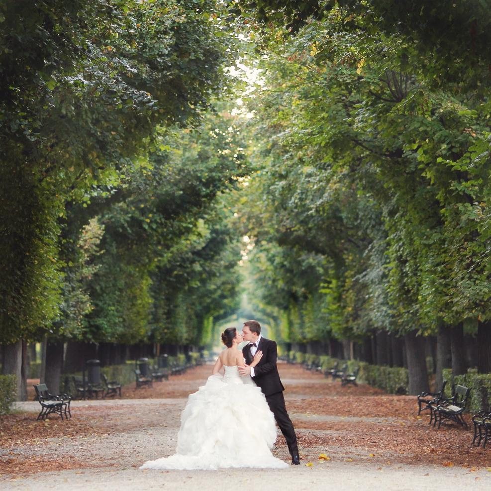 Viena. Luxury wedding, portrait, family photographer over Europe