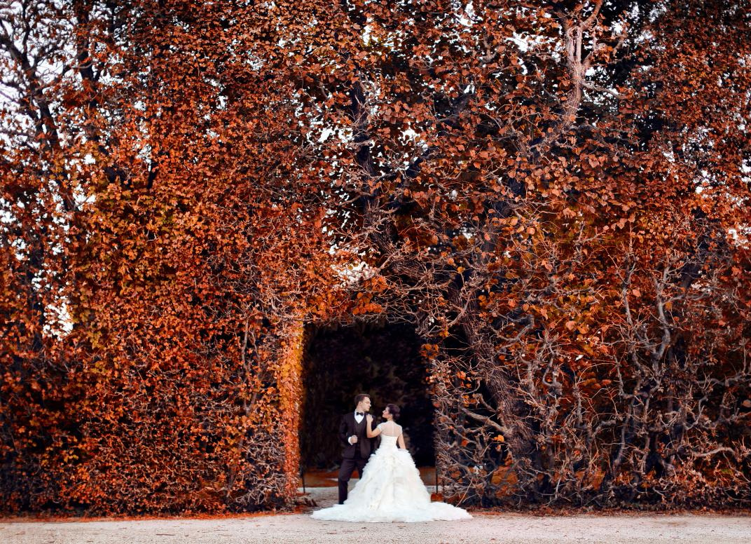 Viena. Luxury wedding, portrait, family photographer over Europe