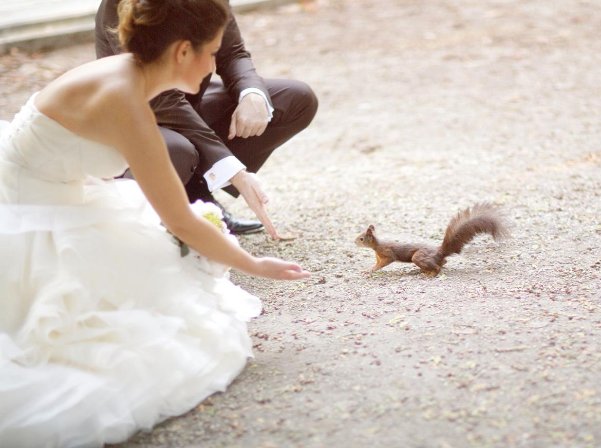 Viena. Luxury wedding, portrait, family photographer over Europe