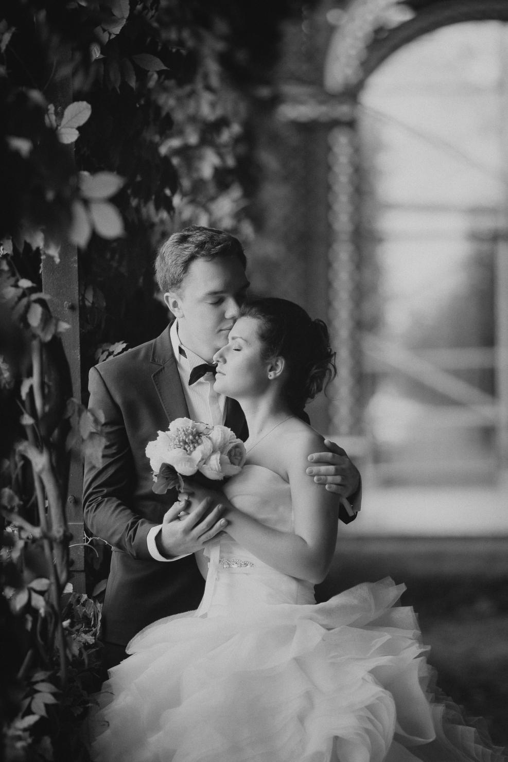 Viena. Luxury wedding, portrait, family photographer over Europe