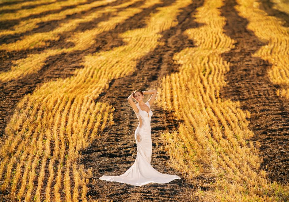 Ukraina-Kiev. Luxury wedding, portrait, family photographer over Europe