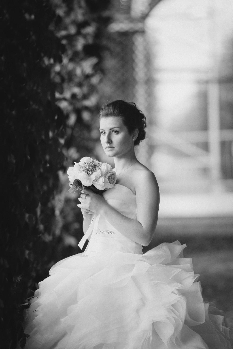 Viena. Luxury wedding, portrait, family photographer over Europe