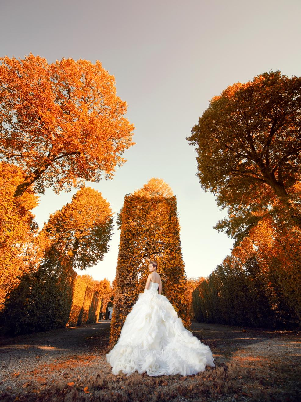 Viena. Luxury wedding, portrait, family photographer over Europe