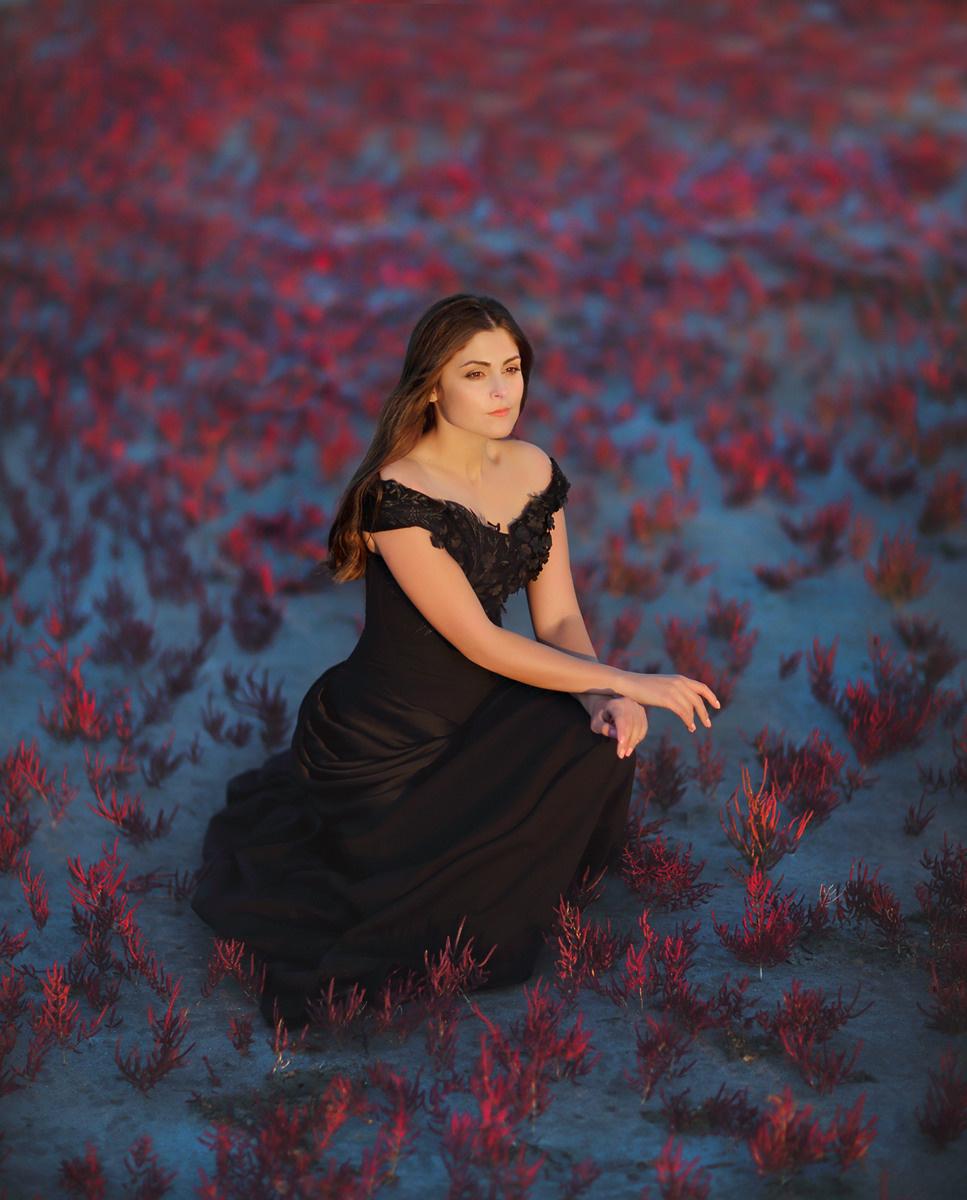 Female. Luxury wedding, portrait, family photographer over Europe