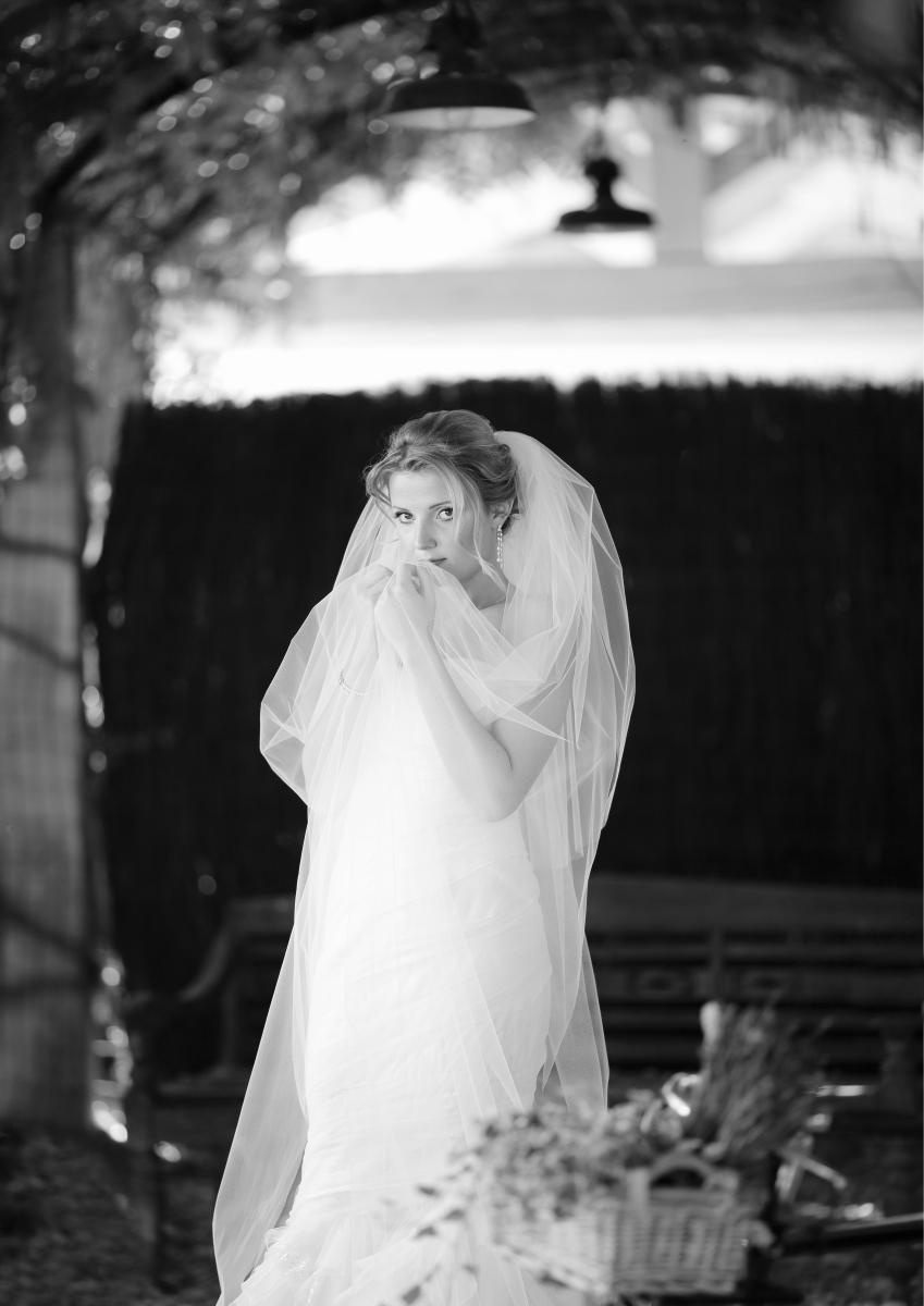 France. Provance. Luxury wedding, portrait, family photographer over Europe