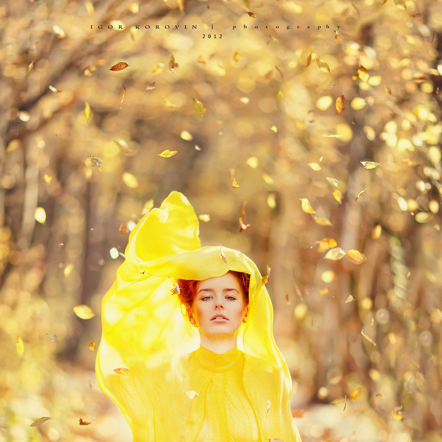 Female. Luxury wedding, portrait, family photographer over Europe