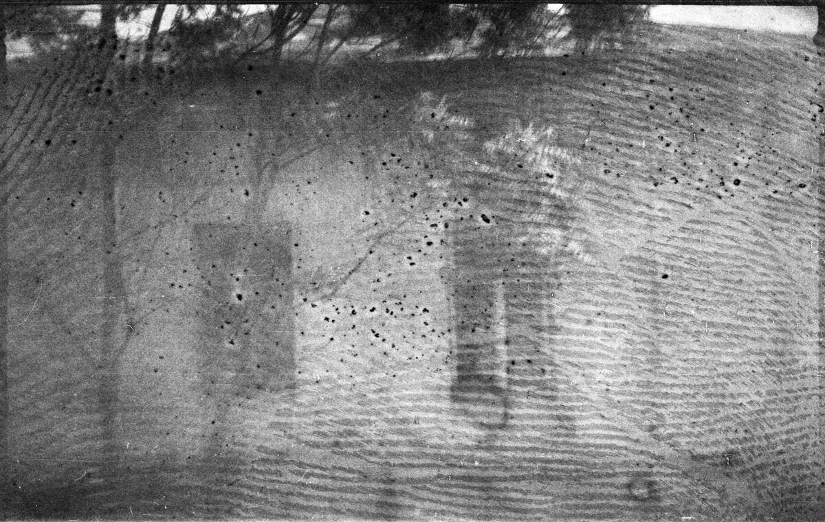 Garden of stones. Natalia Parfenova visual artist film photographer