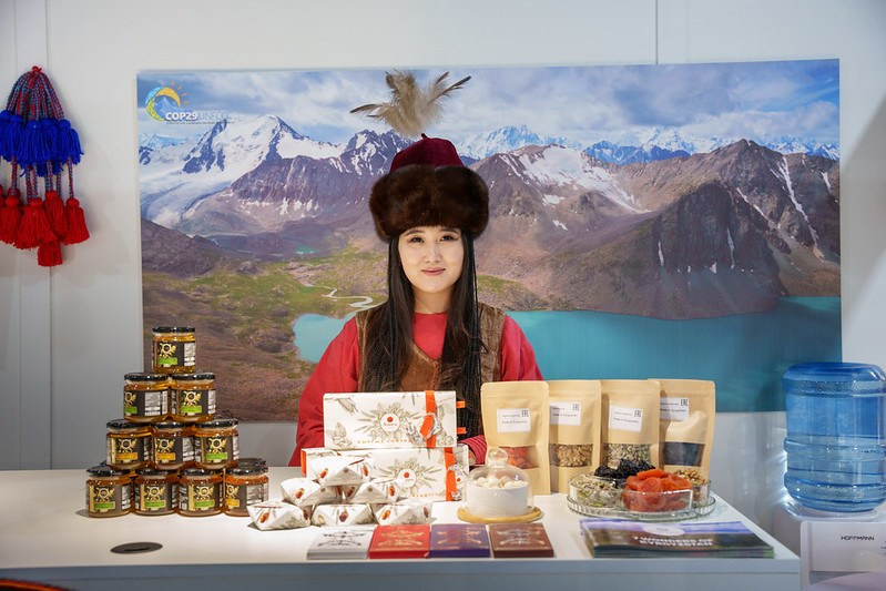 COP29. Ulvidasdamir.com