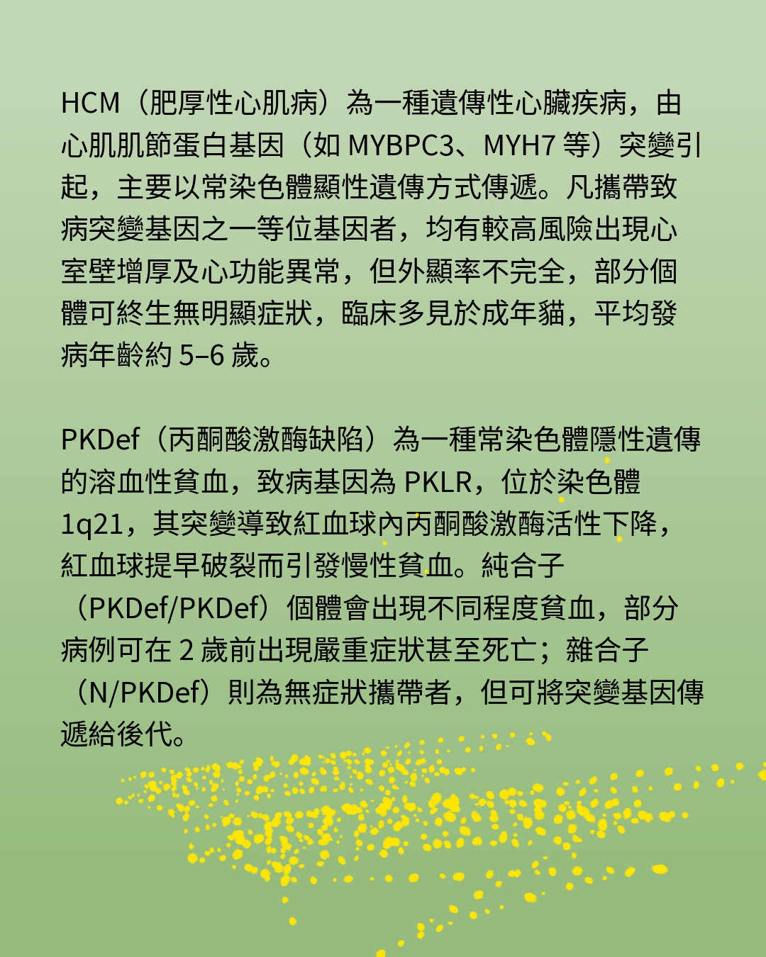 HCM&PKDEF
