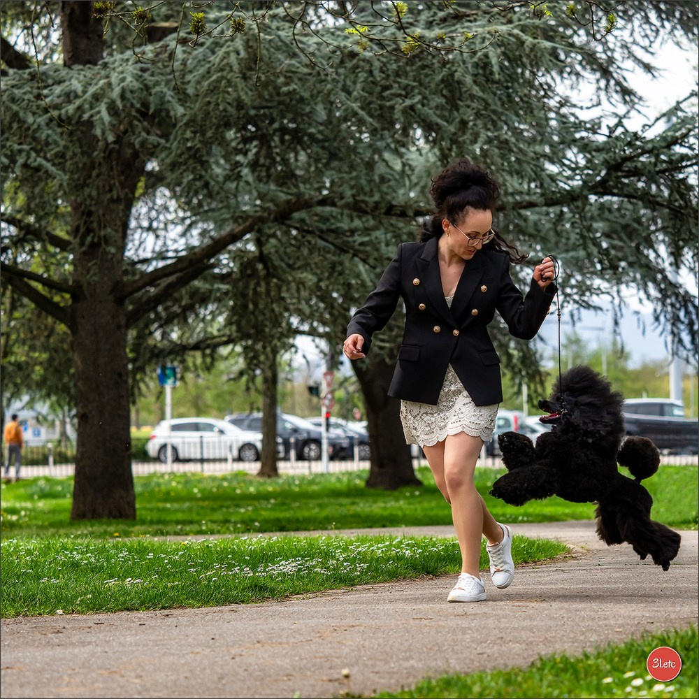 Photographie animalière. Photographe à Strasbourg | Portraits, Studio, Enfants, Événements