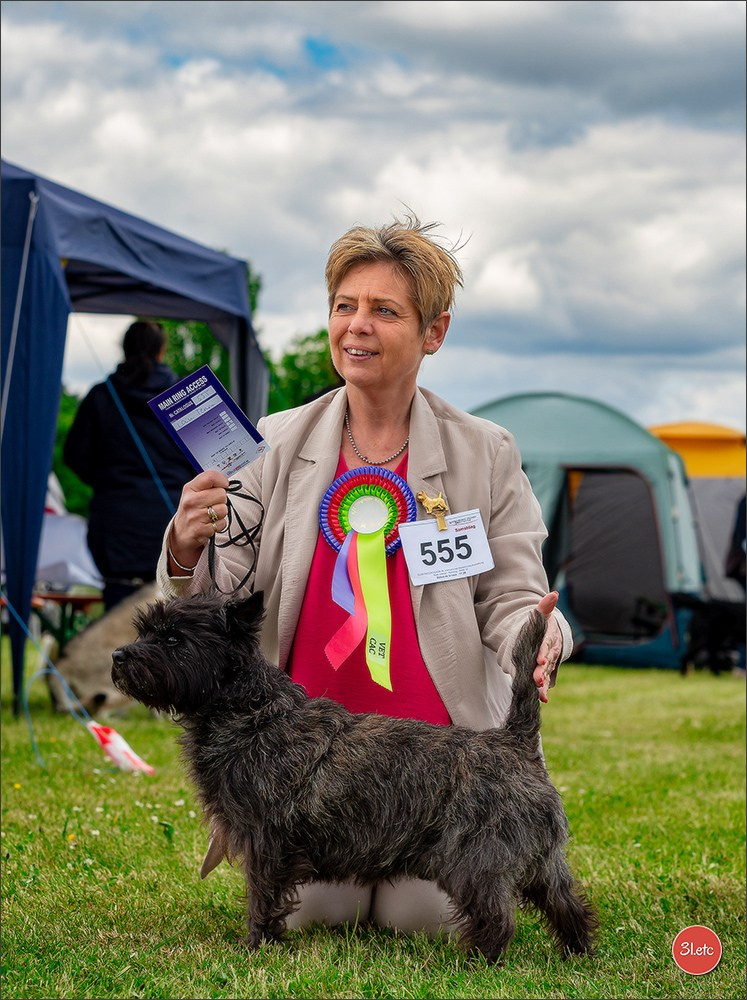 Dog Show Rieden 🇩🇪 16-18/05/2025. Photographe à Strasbourg | Portraits, Studio, Enfants, Événements
