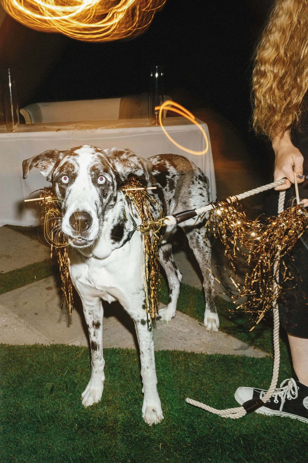 Wedding Photography & Videography Team in California, Los Angeles, San Francisco, San Diego and Travel