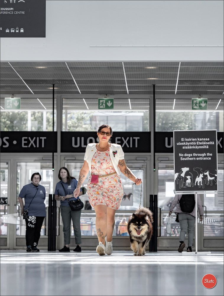 🇫🇮 WDS Helsinki 2025 🇫🇮. Photographe à Strasbourg | Portraits, Studio, Enfants, Événements