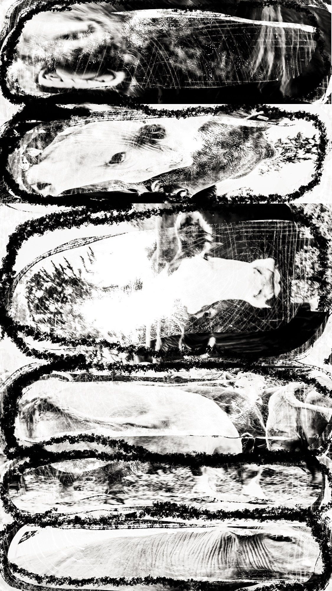 Photography’ Clipping. Ekaterina Tsurkina-Appina Photography Canada