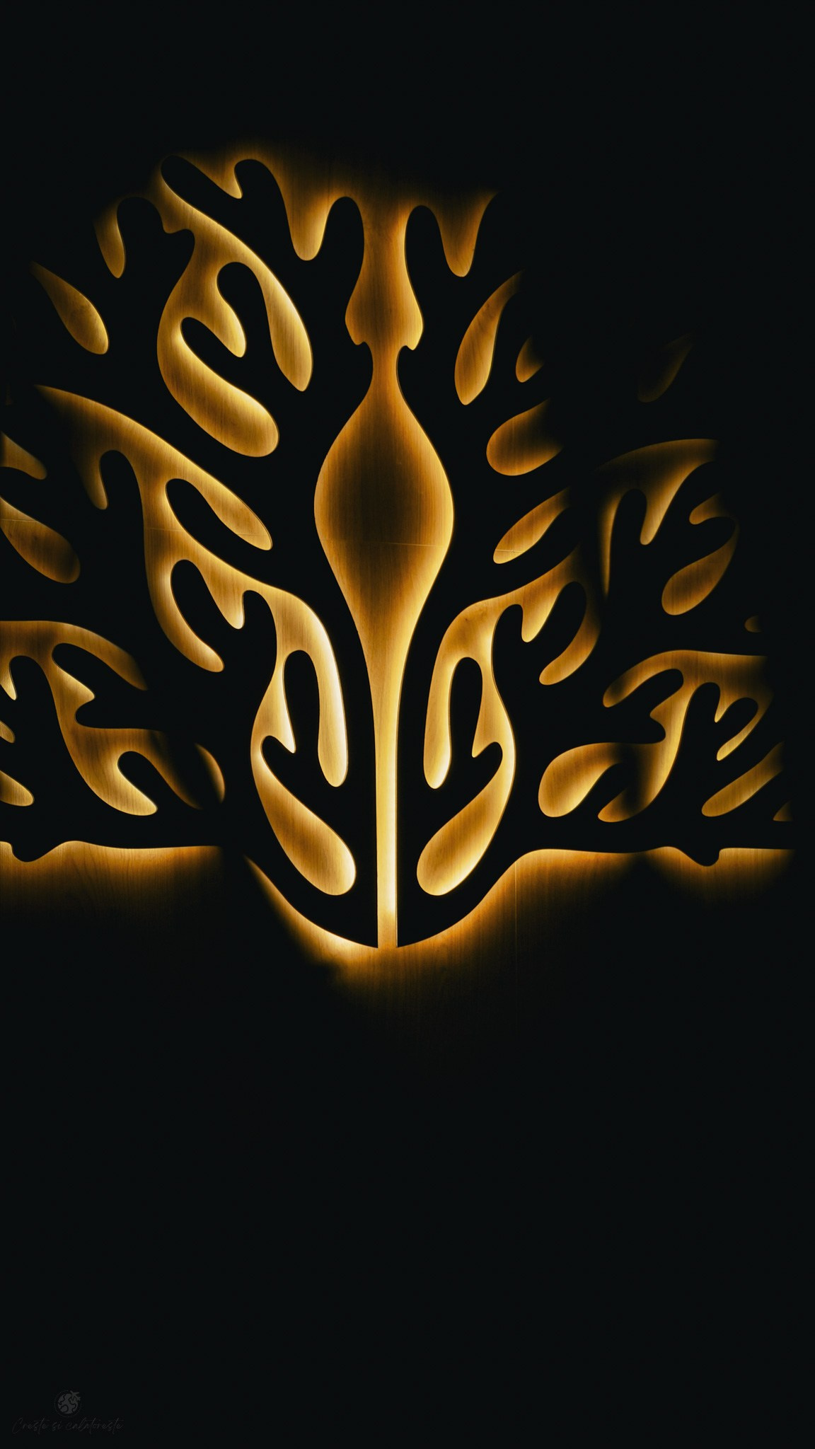 Bacolux Koralyo. Creste si calatoreste