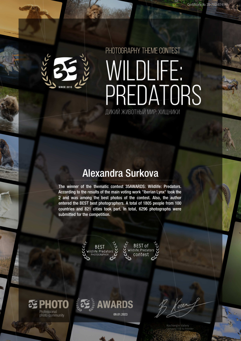 ABOUT. Fine art wildlife photographer Alexandra Surkova