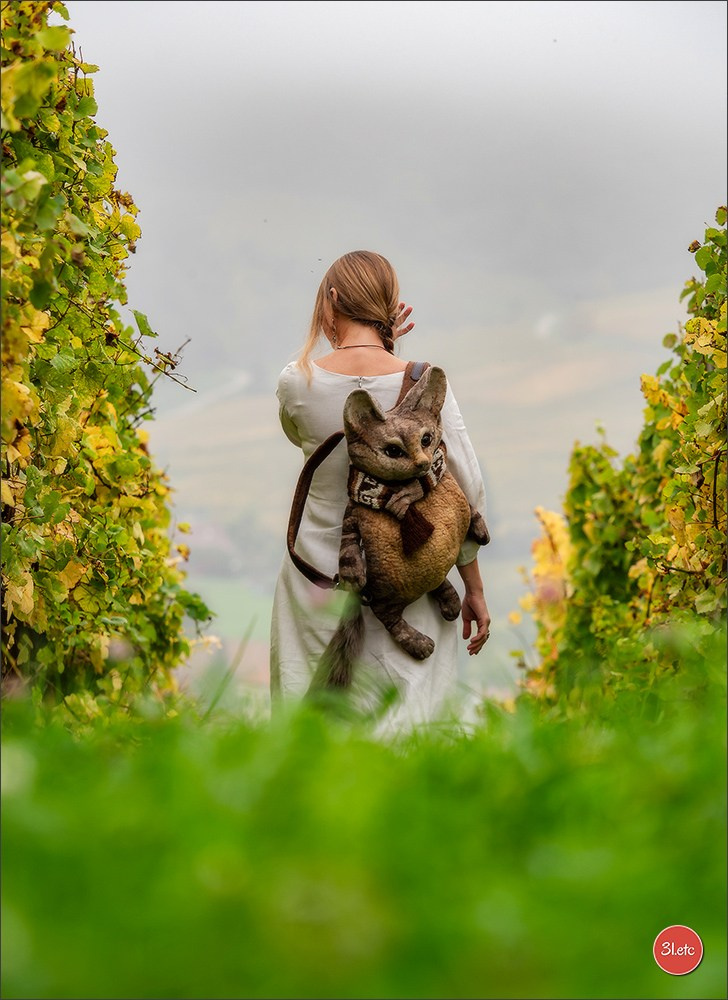 Ретрит в Эльзасе с Марией Ланг. Photographe à Strasbourg | Portraits, Studio, Enfants, Événements