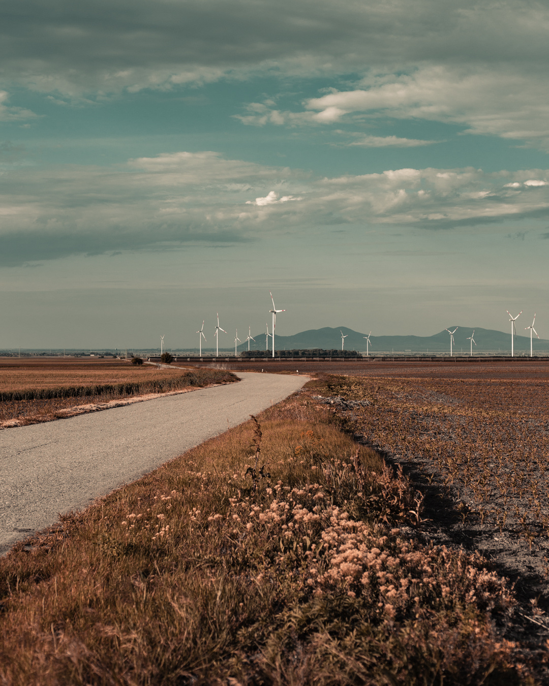 Travel & Street. Mario Jelikic Photography