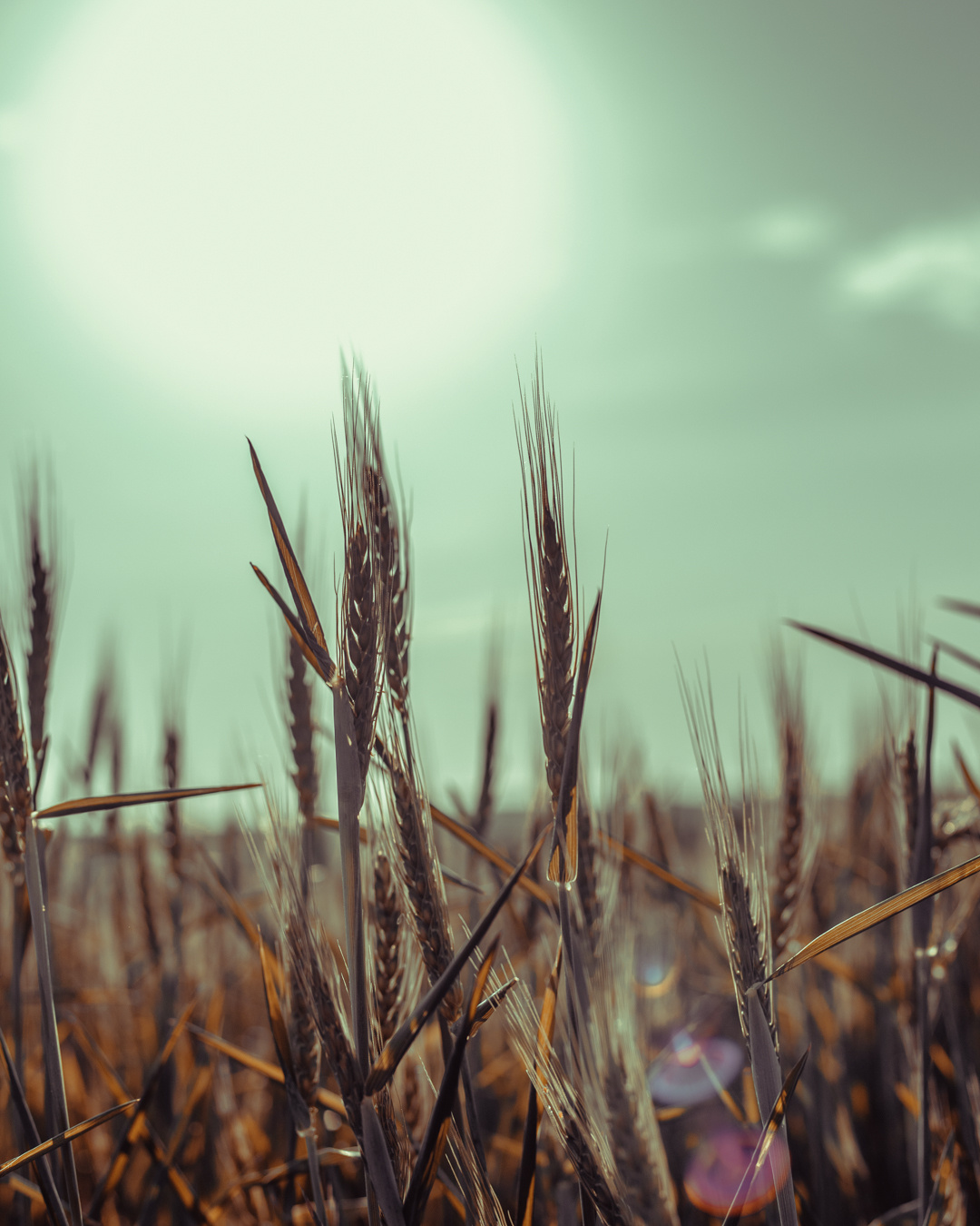 Travel & Street. Mario Jelikic Photography