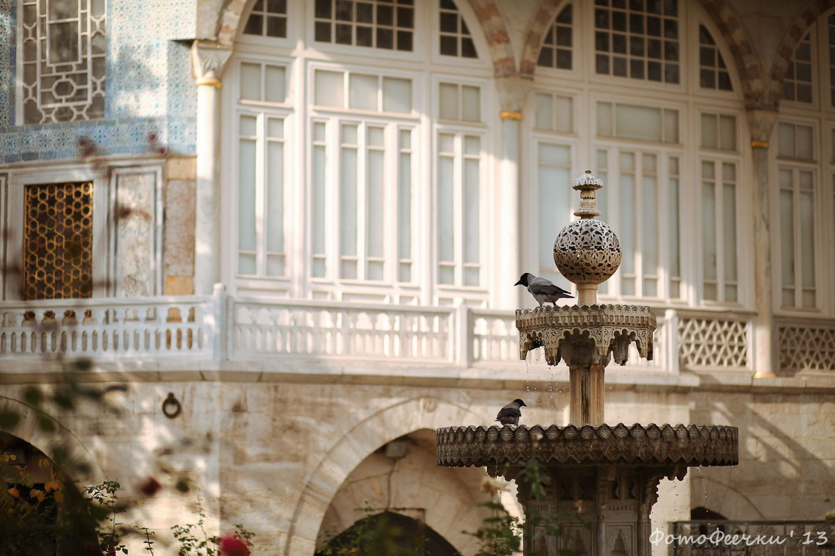 Стамбул, Турция. Анна Леденева Фотограф