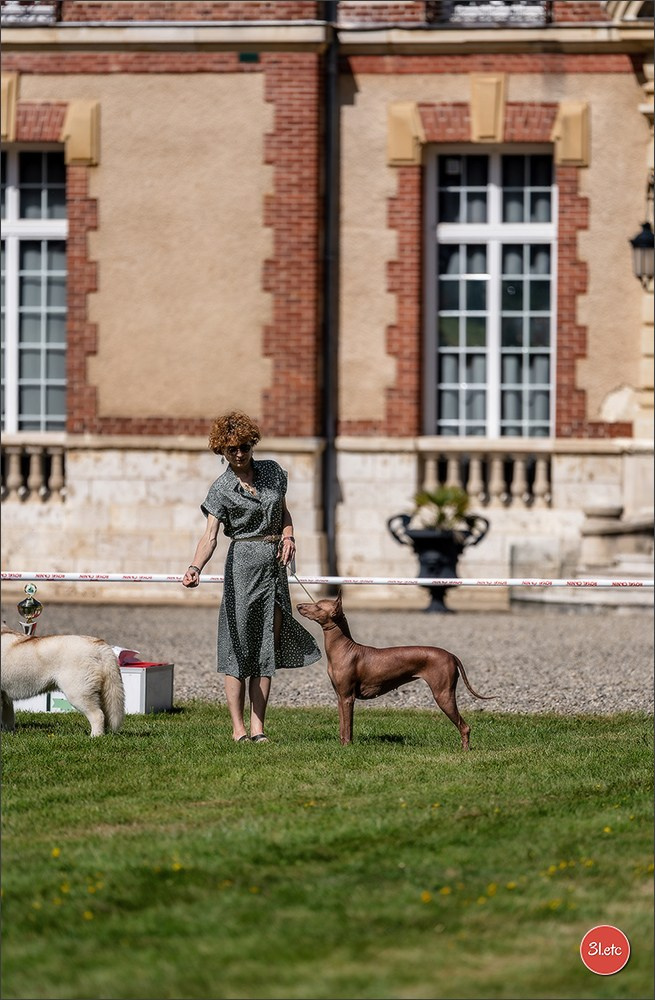 🇫🇷  CHARTRES  🇫🇷  2026  🇫🇷  Exposition Canine Nationale - Château des Boulard